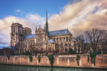 Fototapeta na wymiar Notre-Dame on Ile de la Cite