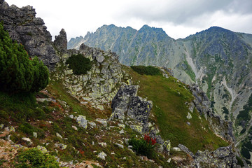 High Tatras, mountains, scenery from Solisko