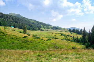 Fototapeta na wymiar Travel, trekking. Summer landscape - mountains, green grass, trees and blue sky. Horizontal frame