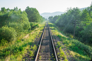 Obraz premium Travel, rest. A view of the railway tracks surrounded by trees, grass and bushes. Horizontal frame