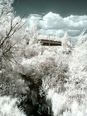 The Vokhonka River. Infrared photography