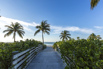 Fototapeta na wymiar Scenery from Key West, Florida