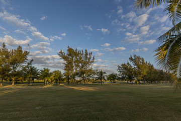 Scenery from Key West, Florida