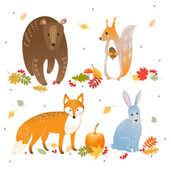 Vector set of cute forest animals: fox, bear, rabbit and squirre