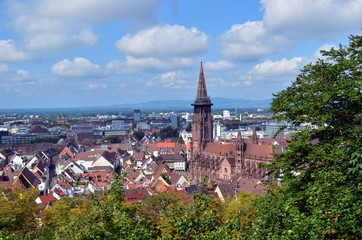 Fototapeta na wymiar Freiburg im Spätsommer