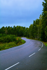 rainy road in sipponkorpi, finland