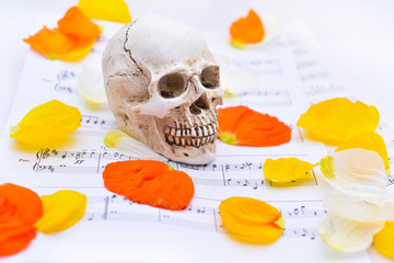 Autumn texture with white small skull.