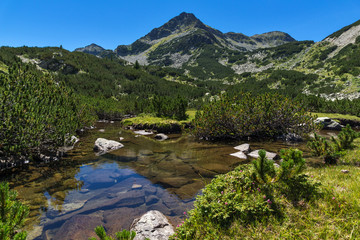 Amazing landscape with Valyavitsa river and Valyavishki chukar peak, Pirin Mountain, Bulgaria