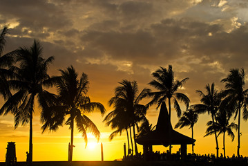 Obraz premium Silhouettes of palm tree during sunset in Kota Kinabalu, Sabah Borneo, Malaysia.