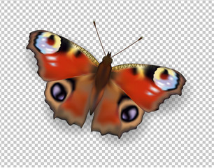 Realistic 3d Peacock butterfly. Colorful bright detailed mesh vector illustration with shadow on transparent background. Spring summer banner decoration