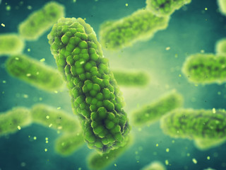 Fototapeta premium Bacteria , Bacterial infection and epidemic disease