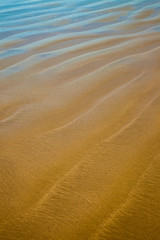 Fototapeta na wymiar Closeup details of a beach with reflecting blue sky