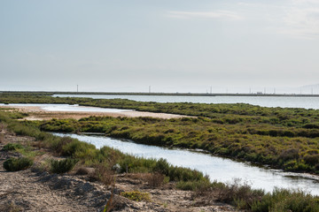 Fototapeta na wymiar Delta Ebro