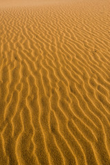 Desert sand dunes texture 