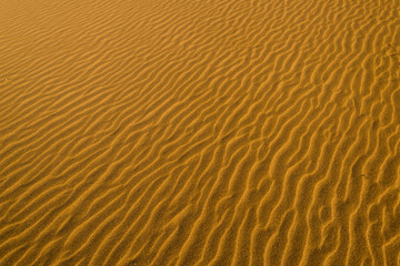 Desert sand dunes texture 