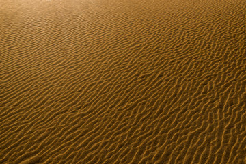 Desert sand dunes texture 