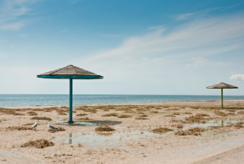 The parasols and two seagulls on empty sandy beach