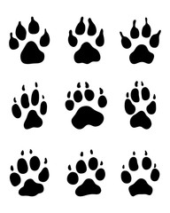 Fototapeta na wymiar Black print of dogs paws on white background