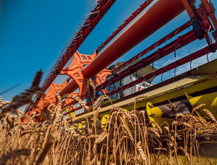 Combine harvester in action on wheat field. Process of gathering a ripe crop.