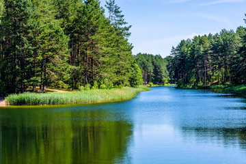 View of the lake, clouds, forest, Lithuania