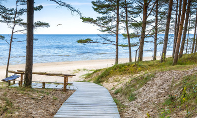 Coastal landscape. Vacation at sandy beach of the Baltic Sea, Europe