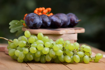 Grapes, rowan and purple plums on the window
