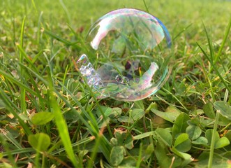 Seifenblase auf Gras