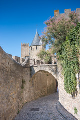 Fototapeta na wymiar Cité de Carcassonne, France