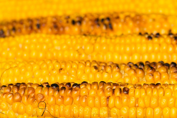 Sweet Corn on BBQ