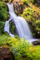 Obraz premium Wasserfall im Bach von Triberg im Schwarzwald