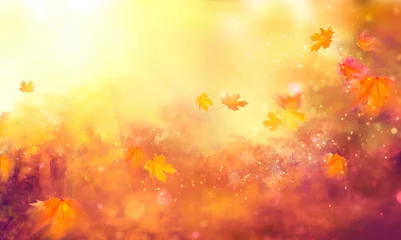 Foto op Plexiglas Herfst Val achtergrond. Kleurrijke herfstbladeren en zonnevlammen
