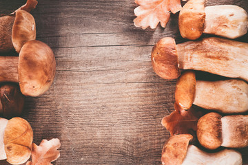 Ceps mushroom. Boletus closeup on wooden rustic table