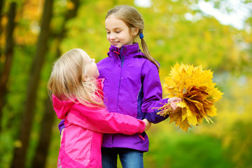 Two cute little girls having fun on beautiful autumn day. Happy children playing in autumn park. Kids gathering yellow fall foliage.