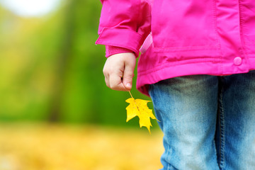 Cute little girl having fun on beautiful autumn day. Happy child playing in autumn park. Kid gathering yellow fall foliage.