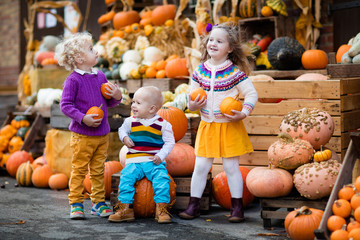 Fototapeta premium Kids having fun at pumpkin patch