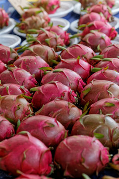 Fruits du dragon ou Pitaya &agrave; chair blanche en vente au march&eacute;, Cayenne, Guyane fran&ccedil;aise