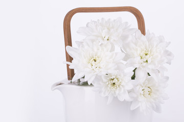 White chrysanthemum in a white teapot on a white background