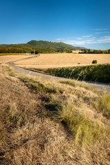 Fototapeta na wymiar Typical French landscape in summer with grain fields