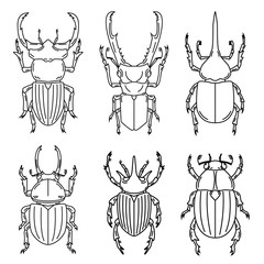 Set of insects illustrations isolated on white background.