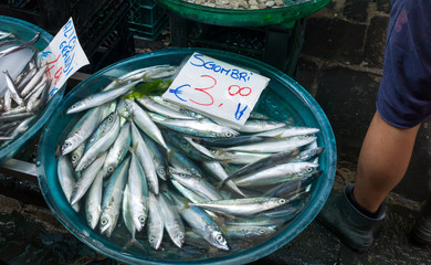 Fish exposed in market