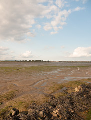 black water mudflats groove water tide out dock moored boats in distance