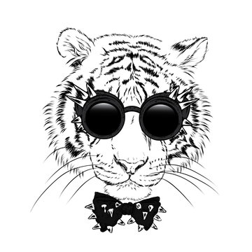 A beautiful tiger with glasses and a tie with thorns. Vector illustration for a postcard or a poster.