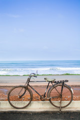 Fototapeta premium Cycle by the Beach