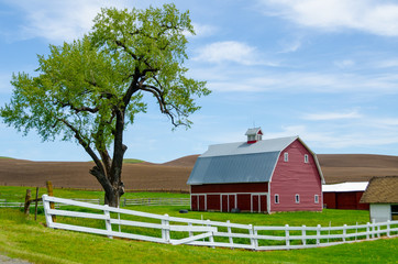 Obraz premium Red Barn with picket fence and tree