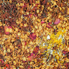 top view of dry flower petals background