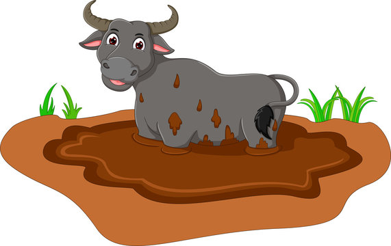 cute bull on mud cartoon with smile