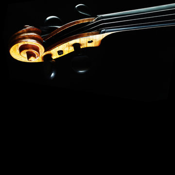 Violin scroll head detail. Violin neck
