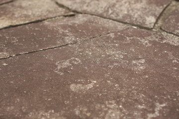 石畳　クローズアップ