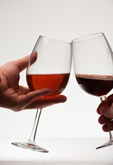 1407899 Red wine cheers toast