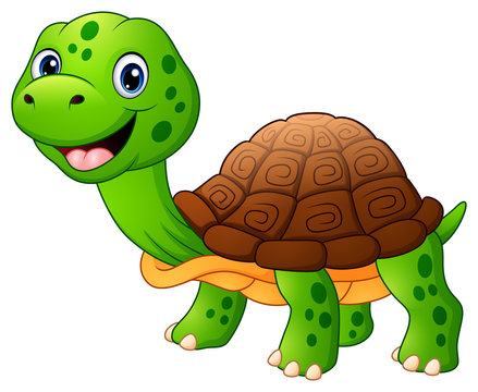 Smiling turtle cartoon